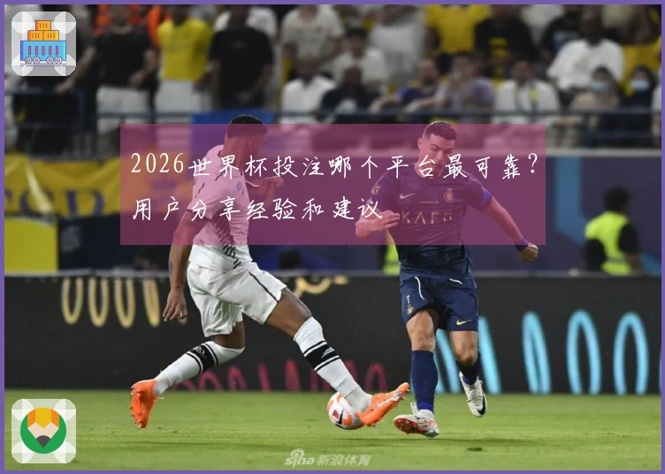 2026世界杯投注哪个平台最可靠？用户分享经验和建议