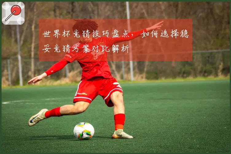 世界杯竞猜技巧盘点，如何选择稳妥竞猜方案对比解析