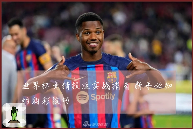 世界杯竞猜投注实战指南 新手必知的购彩技巧
