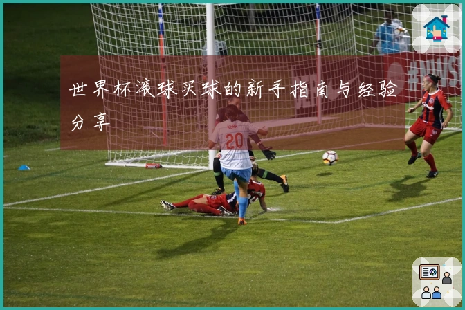 世界杯滚球买球的新手指南与经验分享