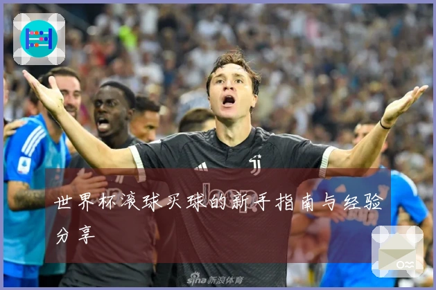 世界杯滚球买球的新手指南与经验分享