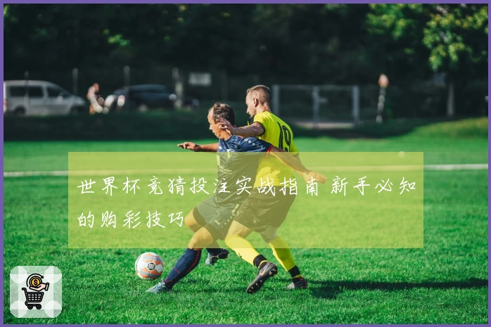 世界杯竞猜投注实战指南 新手必知的购彩技巧