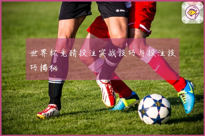 世界杯竞猜投注实战技巧与投注技巧揭秘