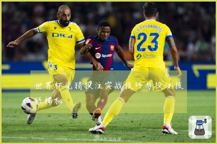 世界杯竞猜投注实战技巧与投注技巧揭秘