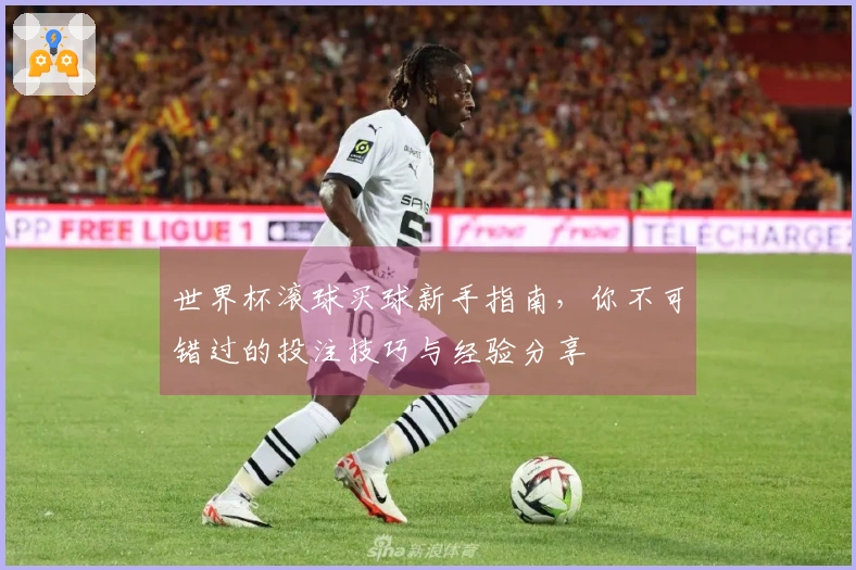世界杯滚球买球新手指南，你不可错过的投注技巧与经验分享