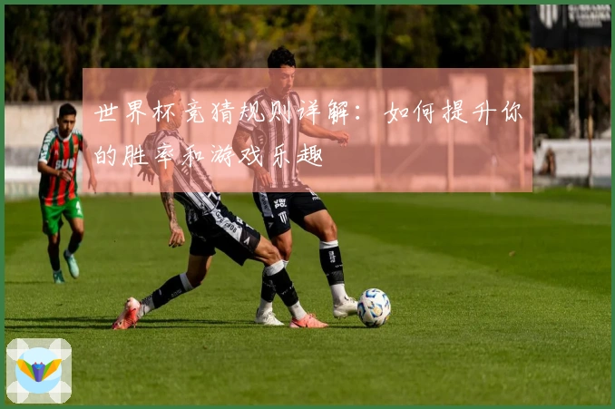 世界杯竞猜规则详解：如何提升你的胜率和游戏乐趣