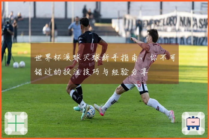 世界杯滚球买球新手指南，你不可错过的投注技巧与经验分享